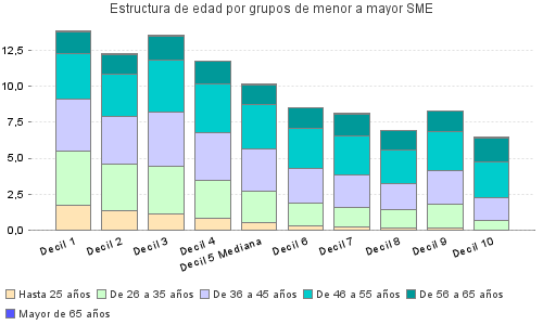 Estructura de edad por grupos de menor a mayor SME