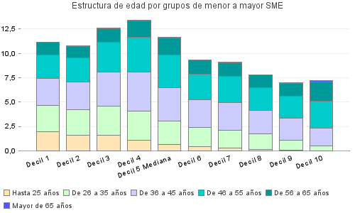 Estructura de edad por grupos de menor a mayor SME