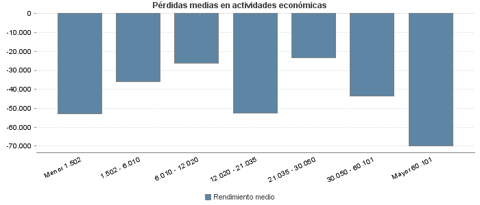 Pérdidas medias en actividades económicas