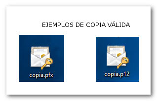 Copia válida