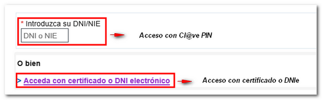 Access using Cl@ve, certificate or DNIe