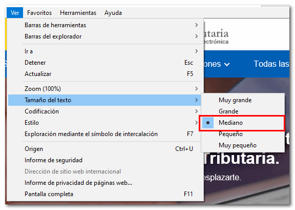 text size in explorer