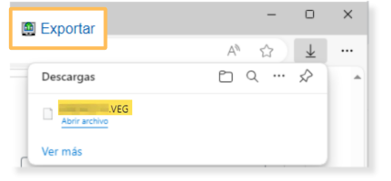 fichero VEG exportado