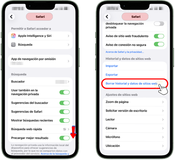 Safari, Borrar historial 