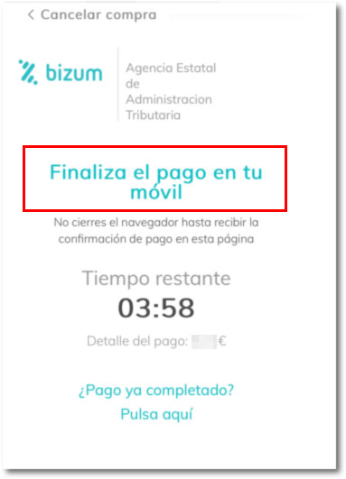 finalizar pago bizum