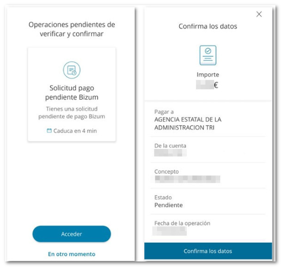 notificación pago bizum al teléfono