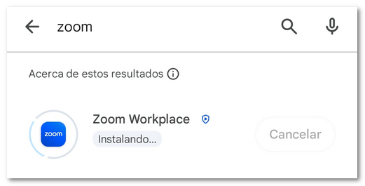 Descarga Zoom
