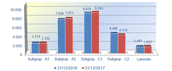 Gràfic núm. 7. Distribució per subgrups 2016-2017
