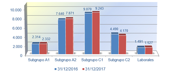 Gráfico nº 7. Distribución por subgrupos 2016-2017